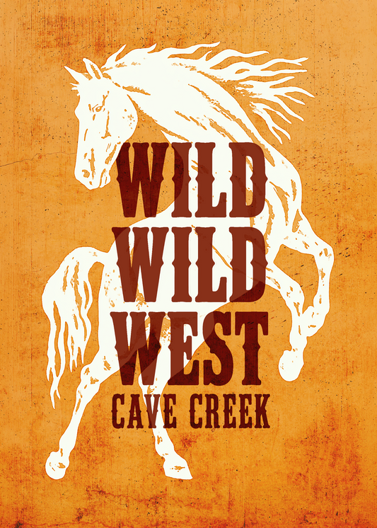 Wild Wild West